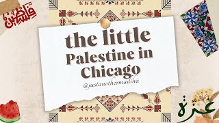 Winter break + Chicago's little Palestine #pakistanivlogger #dailyvlog #freepalestine #lifestylevlog