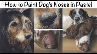 How To Paint Dog's Noses in Pastel