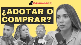 Panel Adoptados vs Comprados: Caninos Podcast EP 1