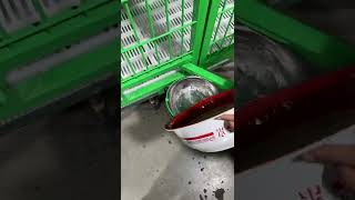 Green bowl in a cage