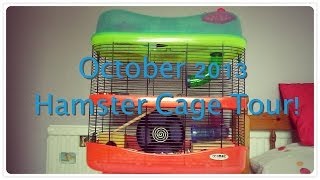 October 2013 / Hamster Cage Tour!