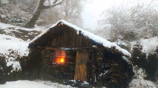 Building Winter Bushcraft Survival shelter |  100 days living alone | Camping, extreme cold weather