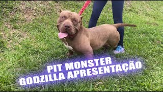 PIT MONSTER - APRENSENTAÇÃO GODZILLA