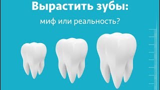 Выращивание новых ЗУБОВ во ВЗРОСЛОМ возрасте / Фролов Ю.А.