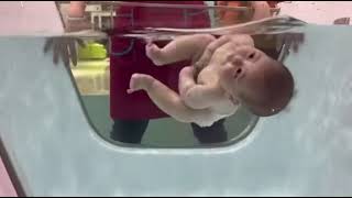 Infant babies are born with the ability to swim