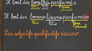 Les adjectifs qualificatifs