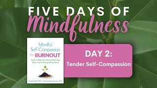 Self-Compassion Tool: Take a Tender Self-Compassion Break