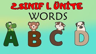 2.SINIF İNGİLİZCE 1.ÜNİTE WORDS KELİMELERİ VE KONU ANLATIMI | İNGİLİZCE ALFABE ŞARKISI