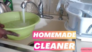 Make DIY Fridge Cleaning Solution Step By Step - Cleaning And Organization