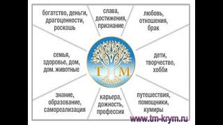 Почему люди практикуют Трансцендентальную Медитацию