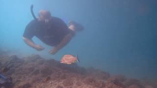 Underwater Metal Detecting - TALLEBUDGERA Very Short 1.2 Hour Hunt