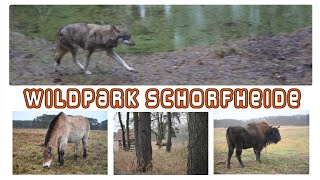 Wildpark Schorfheide | Ausflugsziel #2