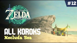 ALL Necluda Sea KOROK Seeds | Zelda Tears of the Kingdom