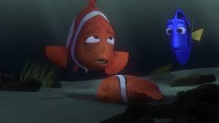 Finding Nemo - Nemo Forgives Marlin