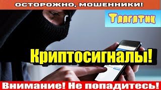 Мошенники звонят по телефону / Свинка, сало сегодня кушал?