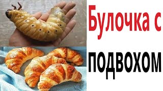 Приколы! СЕКРЕТ БУЛОЧКИ! Смешные видео – Доми шоу