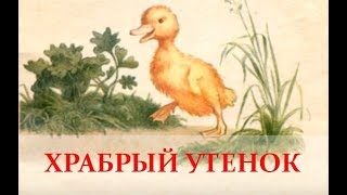 Рассказы о животных–Храбрый утёнок. Борис Житков