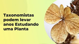 POR QUE TAXONOMISTAS PODEM LEVAR ANOS PARA ESTUDAR UMA PLANTA?