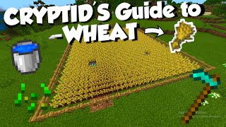 Minecraft: Everything You Need To Know About WHEAT!