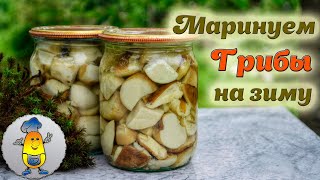 Как мариновать грибы на зиму в банках. Вкусный маринад - шикарный результат! БЕЗ СТЕРИЛИЗАЦИИ!!!