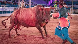 Rodeio de SÃO PEDRO DO TURVO 2024 (SEXTA / MELHORES MOMENTOS)