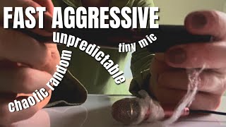 FAST & AGGRESSIVE lofi asmr ~ Random Chaotic Triggers, 80HD, Varied ~ relax & sleep 😴