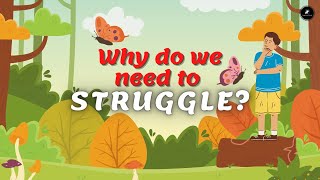 The Butterfly Story - Why you need to struggle in Life