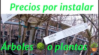 CUANTO O COMO COBRAR POR INSTALAR PLANTAS 🌱