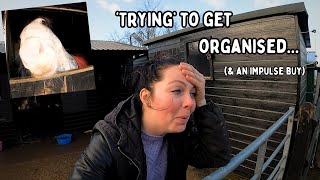 Getting organised & an impulse purchase! / Equestrian VLOG