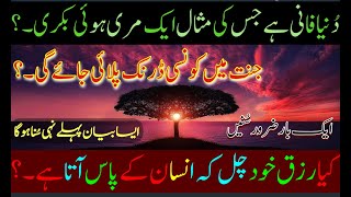 Kia Rizq Khud Chal K Ata ha ?| Is Dunia Ki Kia haqeeqat Ha?|#islamic #info4u #momin