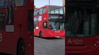 Buses “DIAMOND LAKE”