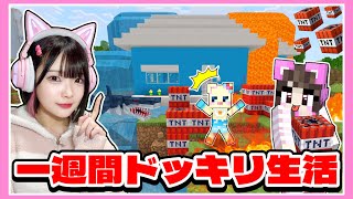 友達の新しい家に『毎日ドッキリ』を仕掛けつづけた結果www【マイクラ / Minecraft】【たまちゃん】