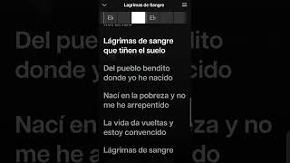 Banda Maguey - Lagrimas De Sangre Karaoke Desvocalizado