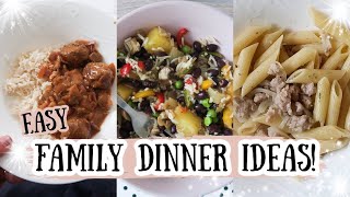 FAMILY MEAL IDEAS | MEALS OF THE WEEK | FAMILY MEAL PLAN | Eilidh Wells