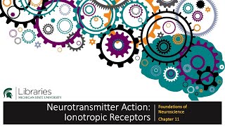 Chapter 11 - Ionotropic Receptors