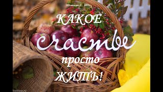 Какое счастье   просто ЖИТЬ!