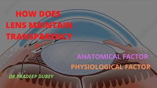 How does lens maintain transparency  # Cataract # Ophthalmology                # PG Teaching program