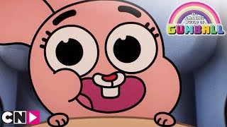 La naissance d'Anaïs | Le Monde Incroyable de Gumball | Cartoon Network