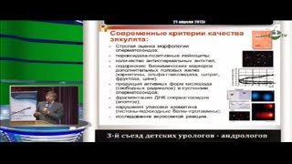 Божедомов В А  Новая редакция спермограммы по ВОЗ  Спермограмма расшифровка спермограммы анализ