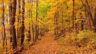 Hiking In The Fall In Kettle Moraine State Forest Views From Wisconsin