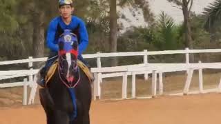 O TRABALHO NÃO PARA NO JOCKEY CLUB DE SOROCABA