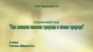 Начальная школа. Окружающий мир. Как связаны неживая и живая природа.