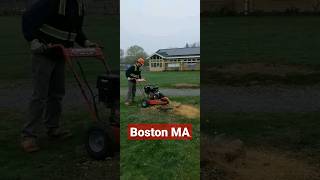 stump grinding in Boston