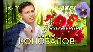 Евгений Коновалов - Фиалка