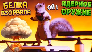 БЕЛКА ИСПОЛЬЗУЕТ ЯДЕРНОЕ ОРУЖИЕ ( Squirrel with a Gun )