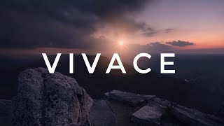 Vivace - SPEARFISHER (CINEMATIC MUSIC)