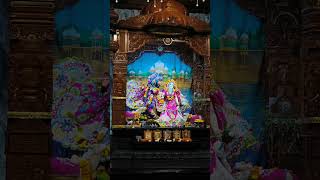 #radhakrishna #radheradhe #krishna #krishnastatus #iskcon #shorts #viral #trending #radhaashtamhi