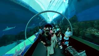 Sea Aquarium Singapore || Jalan jalan Hari Raya , New Normal