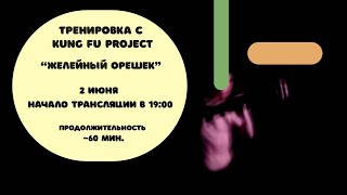 Тренируемся с Kung Fu Project “Желейный орешек” 🍮