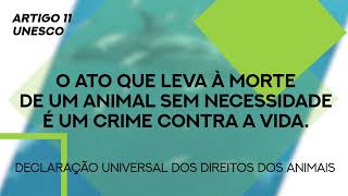 Bem-estar Animal | Direitos dos Animais | Artigo 11º